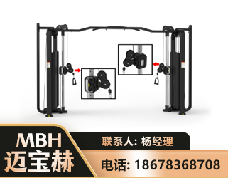 威海大飞鸟训练器