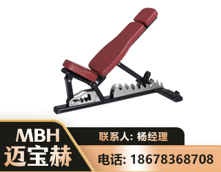 威海可调哑铃椅