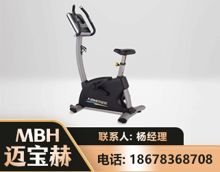 威海立式健身车